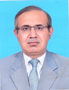 Portræt af Pakistans ambassadør i Danmark, H.E. Mr. Shoaib Sarwar