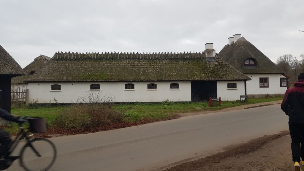 Billede 10 fra DYREHAVEN DEC 2022