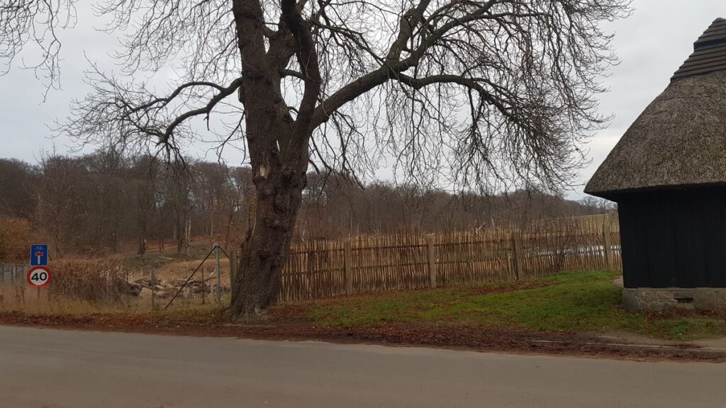 Billede 6 fra DYREHAVEN DEC 2022