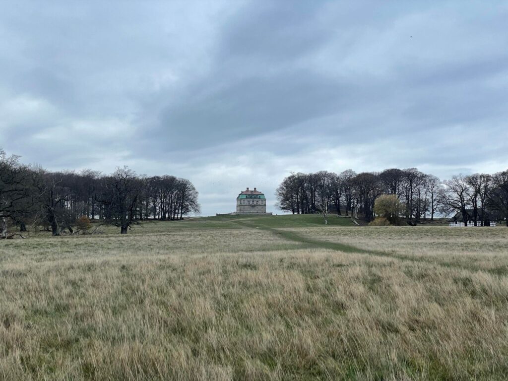Billede 3 fra DYREHAVEN DEC 2022