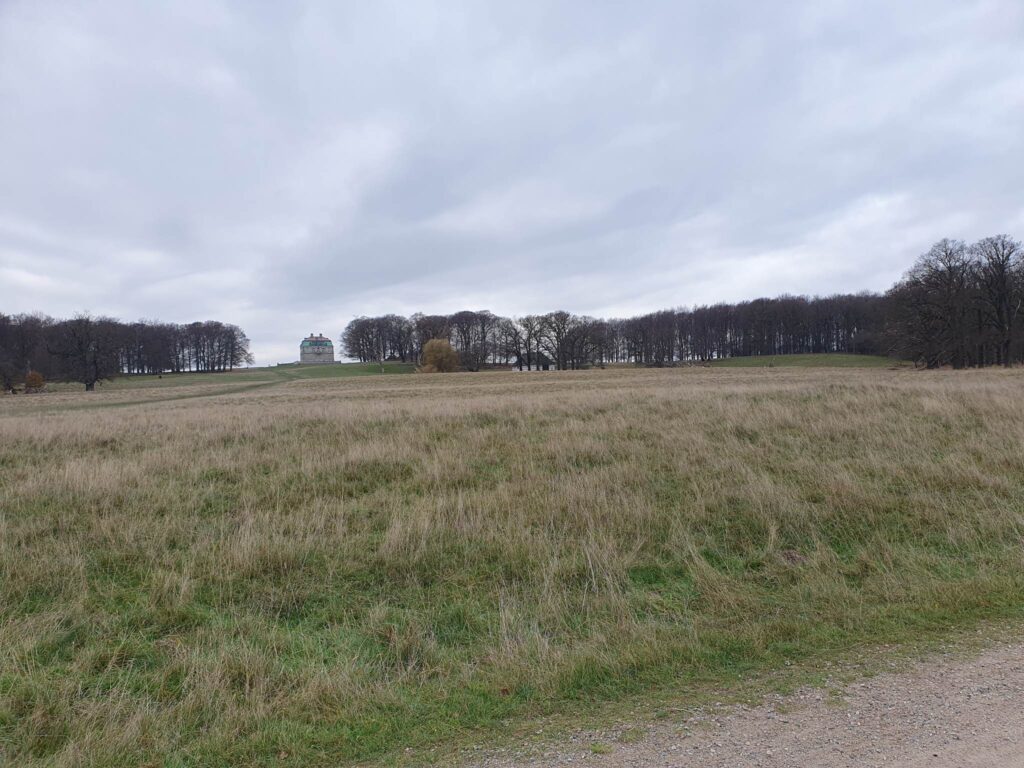 Billede 7 fra DYREHAVEN DEC 2022