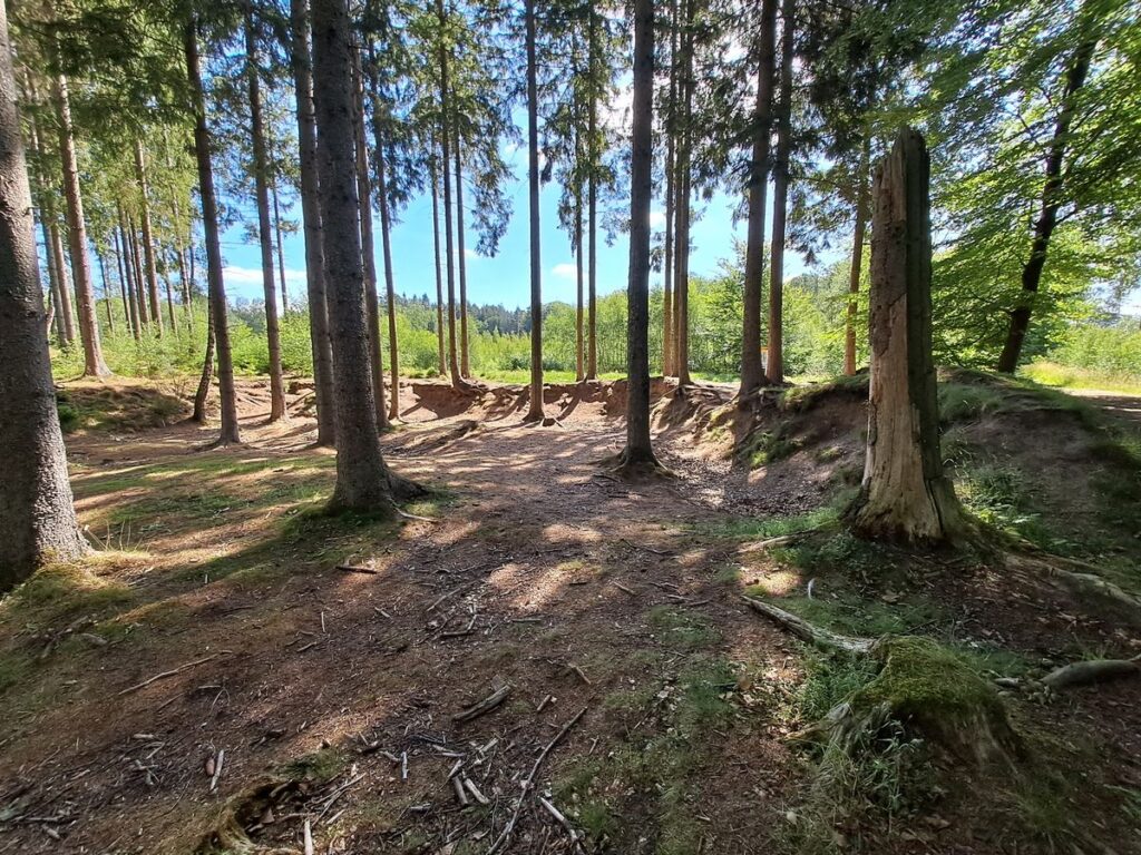 Billede 20 fra EGEHJORTEN VANDRETUR
