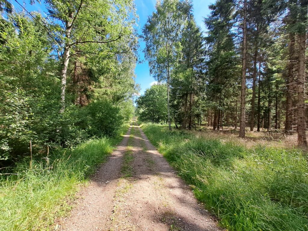 Billede 17 fra EGEHJORTEN VANDRETUR