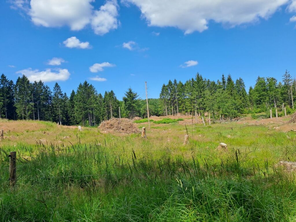 EGEHJORTEN VANDRETUR