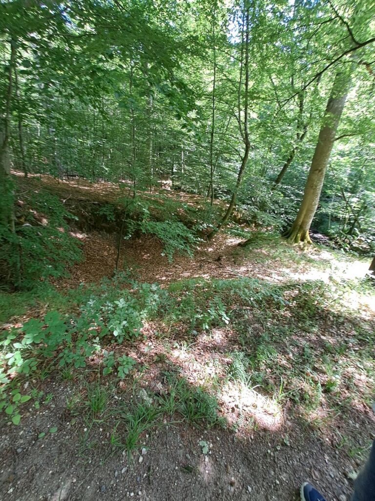 Billede 13 fra EGEHJORTEN VANDRETUR