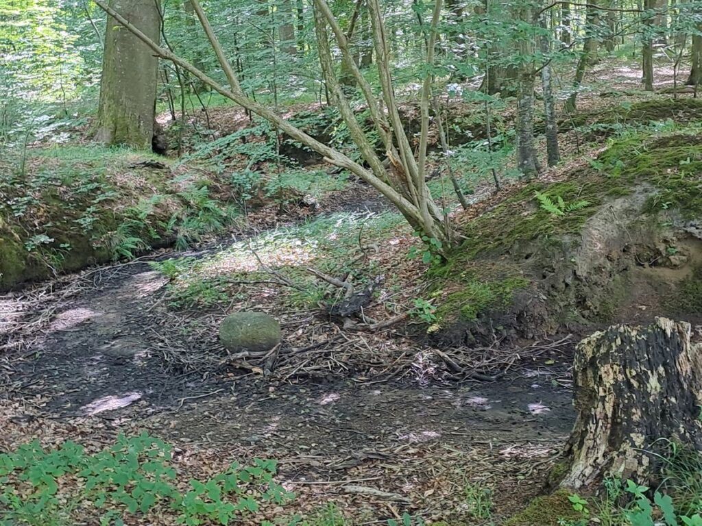 Billede 8 fra EGEHJORTEN VANDRETUR