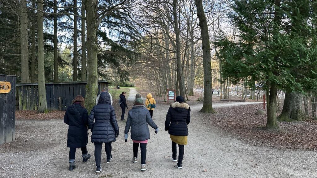 Billede 19 fra EGEHJORTEN VANDRING JAN 2025