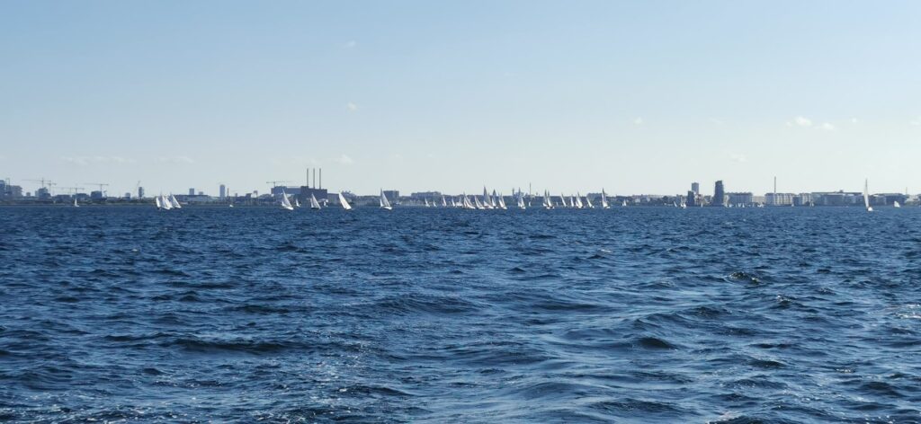 Fisketur på fiskekutter fra Nordhavnen – billede 6
