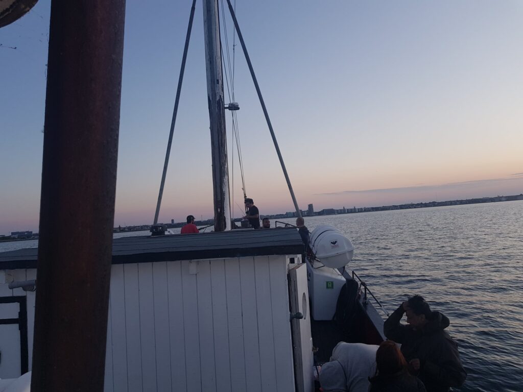 Fisketur på fiskekutter fra Nordhavnen – billede 10