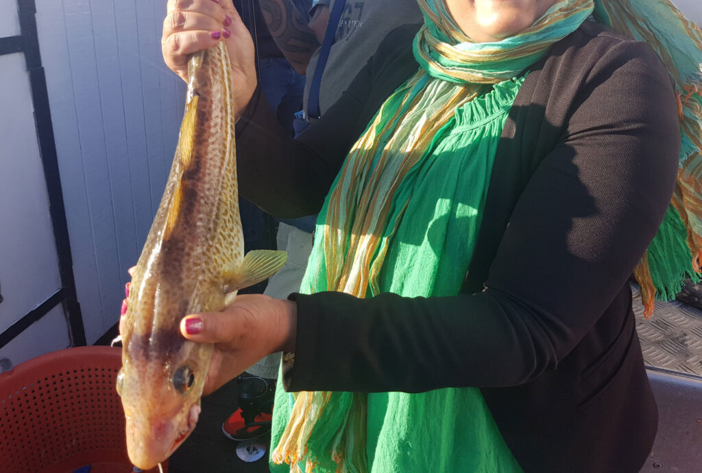 Fisketur på fiskekutter fra Nordhavnen – billede 16