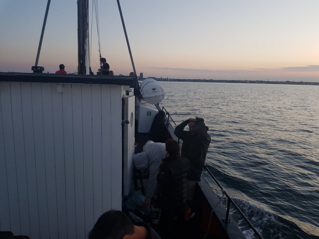 Fisketur på fiskekutter fra Nordhavnen – billede 17