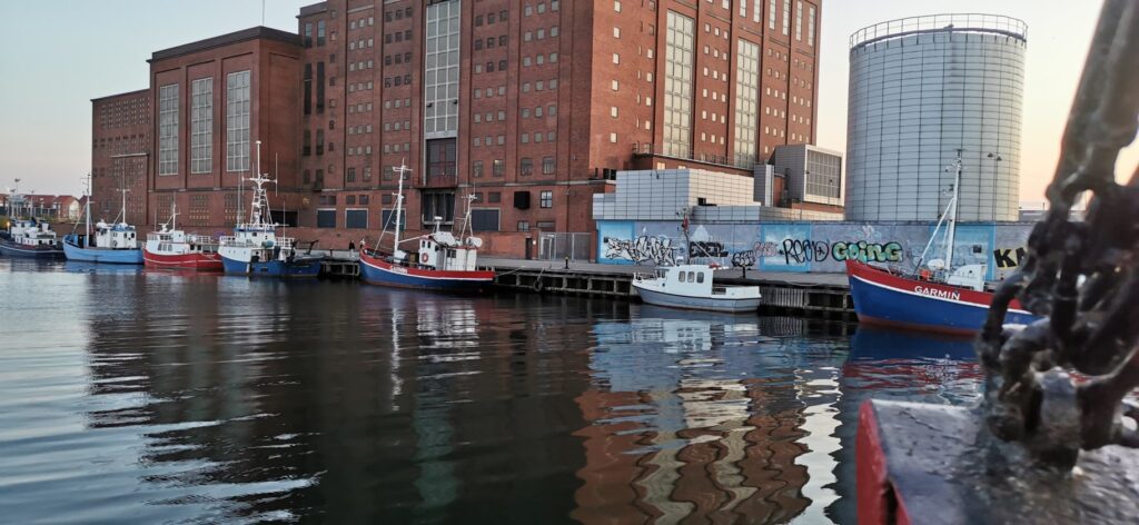 Fisketur på fiskekutter fra Nordhavnen – billede 20