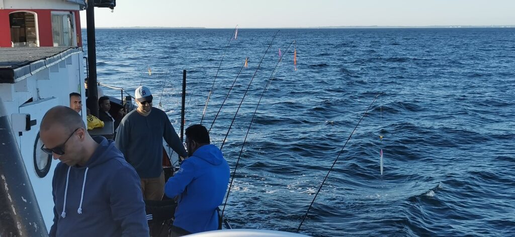 Fisketur på fiskekutter fra Nordhavnen – billede 22