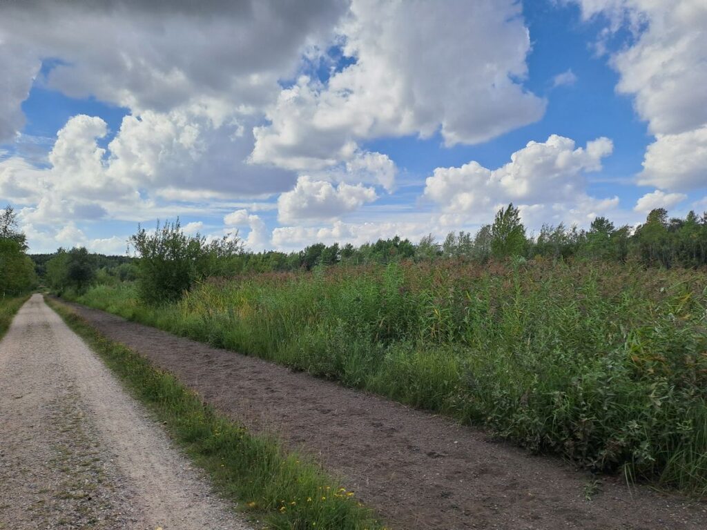 Billede 39 fra HEDELAND VANDRETUR