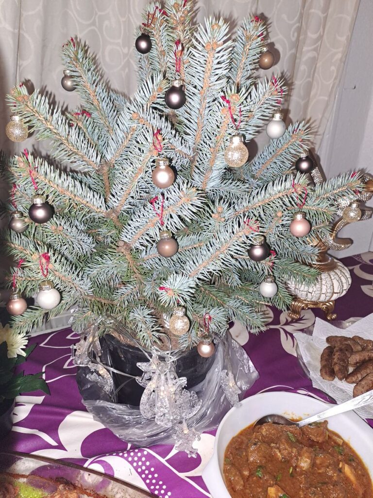 Billede 13 fra JULEFROKOST 2025