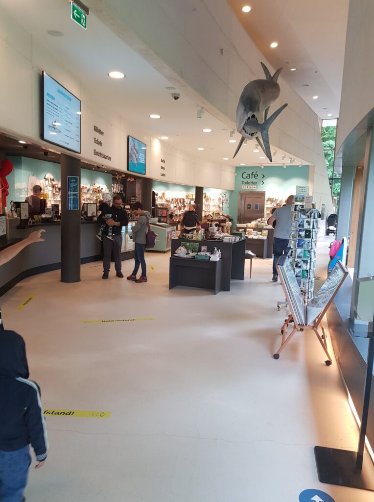Ekspedition til Møns Klint, juni 2020 – billede 4