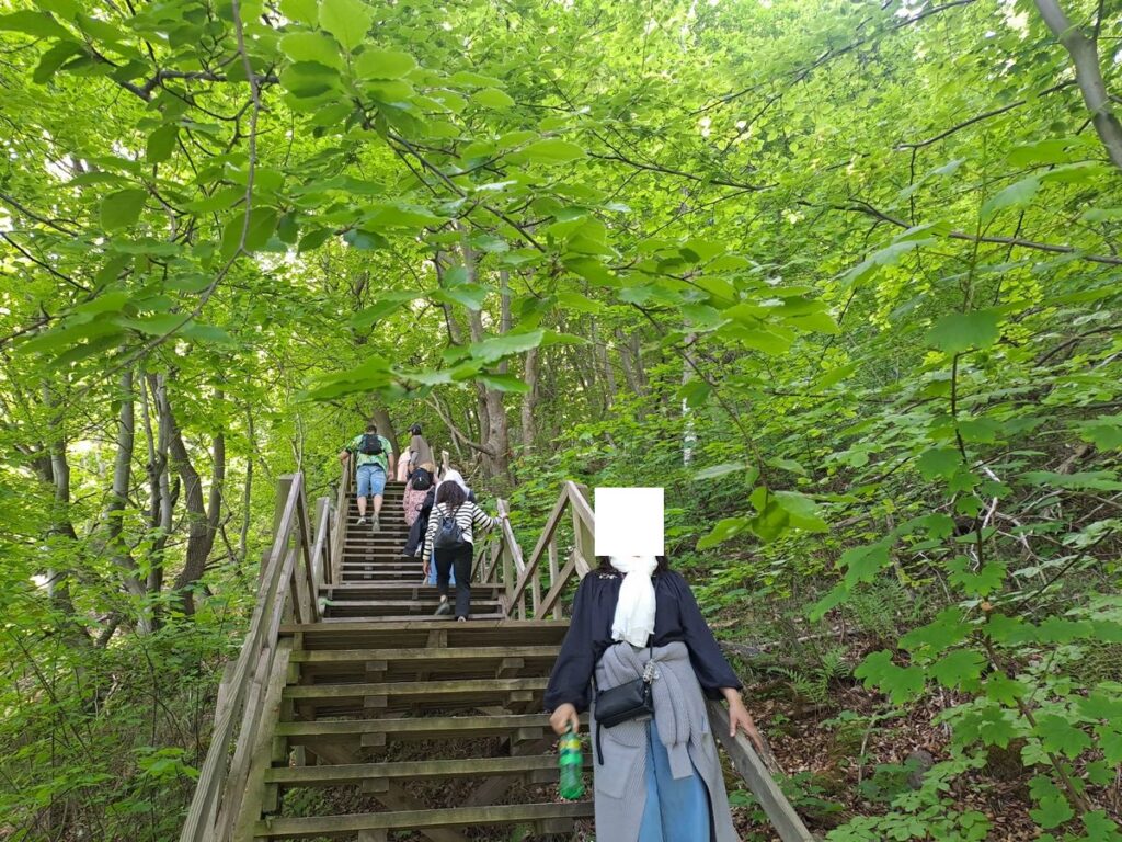 Billede 34 fra MØNS KLINT 2026