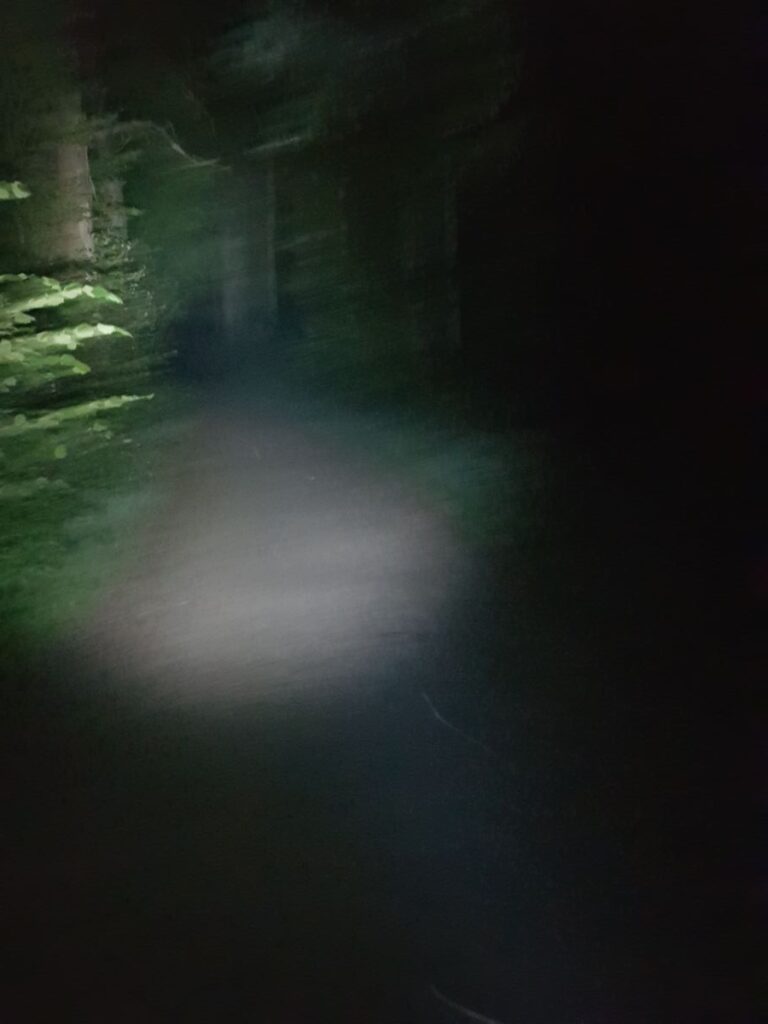 Billede 20 fra NATTEVANDRING 3.SEPT.