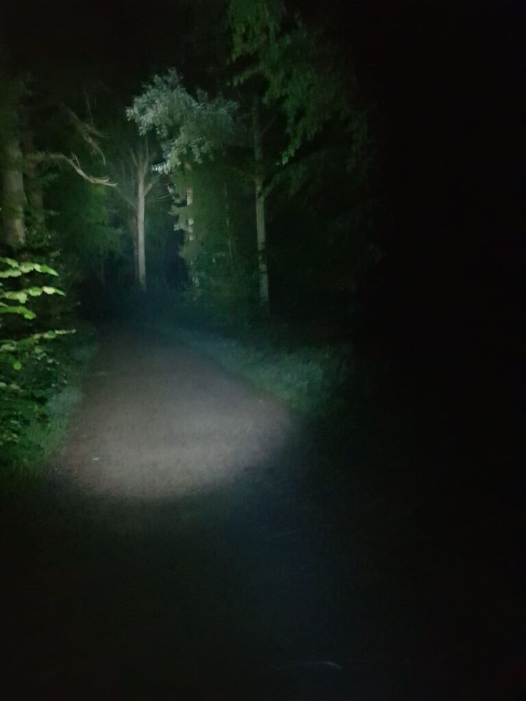 Billede 19 fra NATTEVANDRING 3.SEPT.