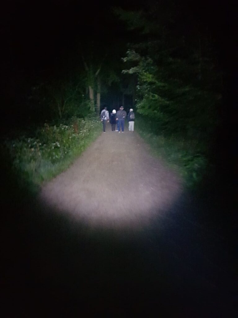 Billede 17 fra NATTEVANDRING 3.SEPT.