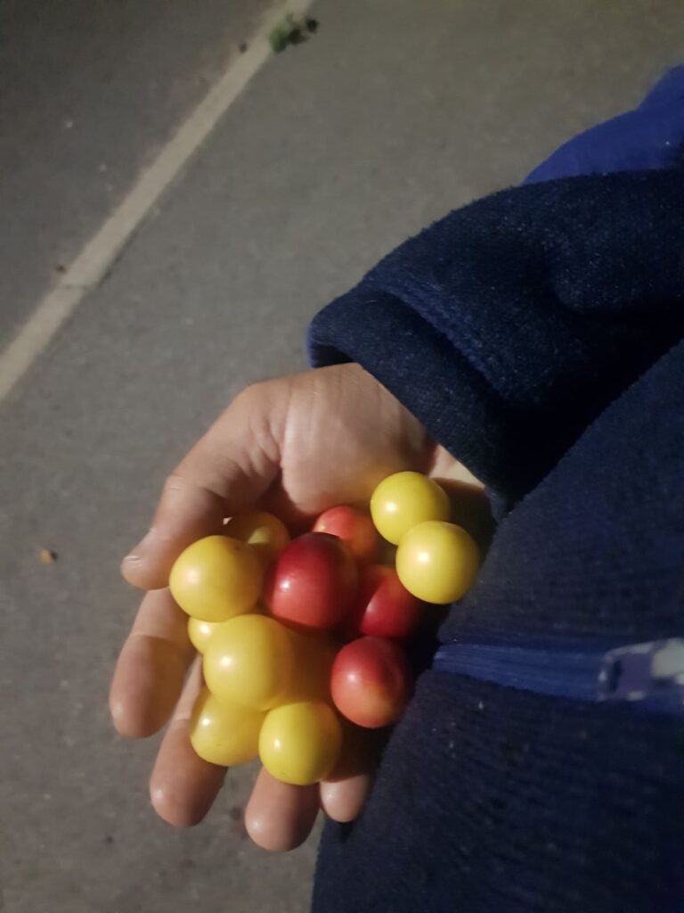 Billede 10 fra NATTEVANDRING 3.SEPT.