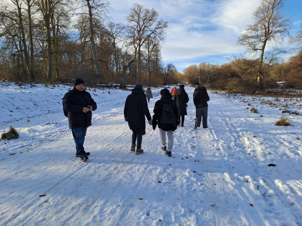 VANDRETUR DYREHAVEN NOV 2026